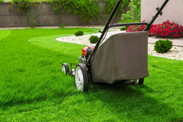 Hausmeister Dortmund Gartenpflege - Rasenflächen mähen und schneiden