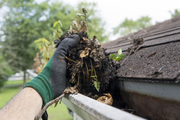 Hausmeister in Dortmund, Schwerte und Unna Gartenarbeiten